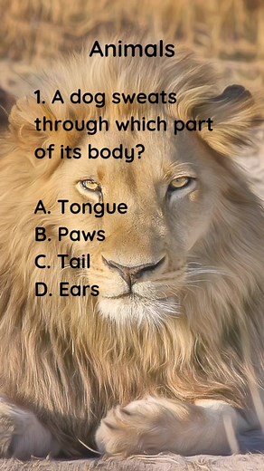 192K views · 5.1K reactions | Animal facts | Flamingos are not pink. They are born grey, their diet of brine shrimp and blue green algae contains a natural pink dye called canthaxanthin that makes their feathers pink. Follow us if you want more quizzes and facts like this. #fypシ゚viral #quiz #instagood #animal | Clever & Wise Quiz | Facebook