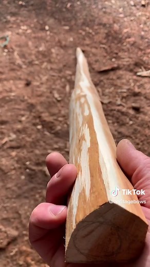 Pete Woodland on TikTok