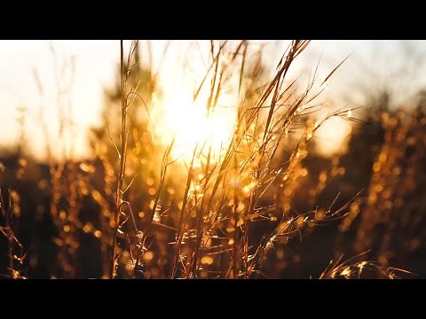 No Copyright Video 【4K】 - Royalty free Footage - Background Video - Free Stock Footage