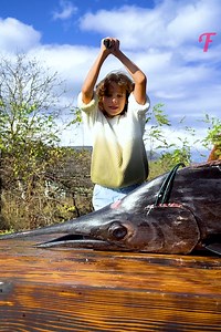 Ein köstlicher heiß geräucherter Fisch, der im Freien zubereitet wird | Fabiosa Top-Lifehacks