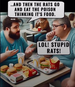 Gregg Smith on Reels