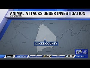 Cocke County deputies investigating two fatal animal attacks