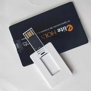 [Hot Item] Promotional USB Card Business Card USB Flash Drive