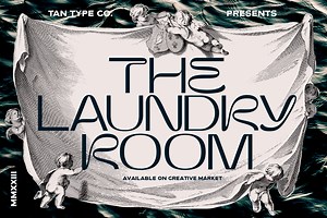 TAN - THE LAUNDRY ROOM, a Sans Serif Font by TanType