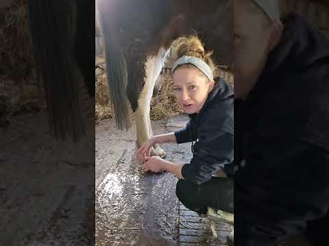 Sheath cleaning