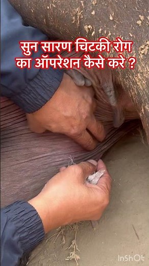 Demonstration of MPD l upward fixation of patella l dr Umar Khan