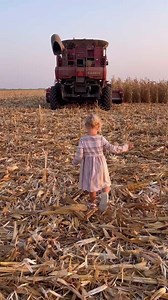 3.9K views · 92 reactions | So God made a farmer ‍ ...#farmwife #farmlife #homemade #farm #farmer #god #godisgood #homestead #homesteading #homesteadlife #slowliving #slowlife #sogodmadeafarmer #fieldmeals #growyourownfood #foodie #kansas #sunset #country #countrylife #countryliving #harvest #corn #cornharvest #eatwell #livewell #onelife | Prairie Creek Homestead | Facebook