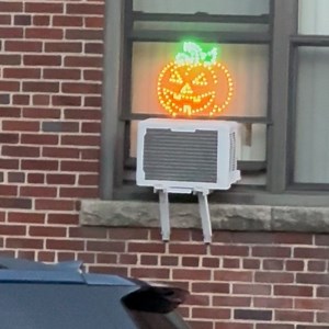 Beach Fossils on Reels