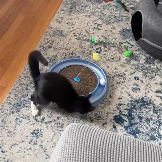 UAlbany Alumni Association on Reels