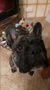 Soy el más guapo 😍