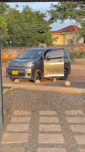 It was a great shoot, now let’s go edit | Optical Photography