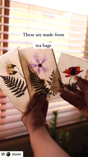 9.1K views · 217 reactions | A fun & easy way to reuse tea bags!  (video credit: sibster) #tea #craft #diy #nature | Root and Vine News | Facebook