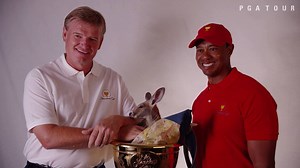 Raise your hand if you're excited for our 2019 #PresidentsCup Captains, Tiger Woods & Ernie Els 🖐️ See you in Melbourne, Victoria, Australia! | Presidents Cup