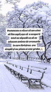 „Oprește-te o secundă… privește cum ninge. Așa arată liniștea pe care o căutăm cu toții ❄️🤍” #snow #winter #niceweather #mystory #newlife #thankyou #abudance #faith #gratitude #reel #viral | Steluta Anton