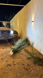 2.9M views · 17K reactions | Sahrawi Oumar on Reels | Facebook