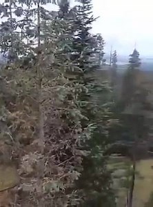 A quick shot of the White Mountain Apache Reservation just before the Friday show at the 91st Annual White Mountain Apache Tribal Fair and Rodeo! | Whistle-Nut & Ole Rodeo Team