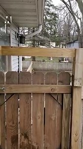 Trying to see your friends through social distancing ❤️️😂🐕 | Metro