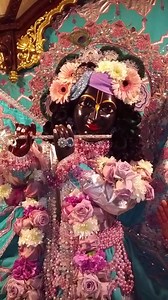 11K views · 595 shares | Tuesday Sri Sri Radha Govinda warm in velvet. | Sri Sri Radha Govinda | Facebook