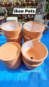 77 reactions · 33 comments | On sale pots from #ikea  from $5 to $2 each with saucers included 殺 #bikolanahardinera #sale #ikeasale #ikea #ikeaaustralia #pots #terracotta #terracottapots | Bikolanahardinera | Facebook