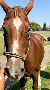 12 reactions | Merced City School District on Reels | Facebook