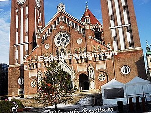 Mașină De Tuns Iarba: Cum Să Alegi 🌿 Totul Despre Grădinărit Și Design De Gradina - 2025