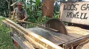 27K views · 133 reactions | Proses pembuatan Reng kayu waru oleh tim profesional yang sangat terampil #Ketrampilanterbaik #kecepatan #kayuwaru #keahlian #meubel_furniture #sawmillindonesia #wood #foryoupage #woodworking #woodworkingproject #woodcraft #woodart #fypシ゚ #reelsfacebook #ketrampilan_memotong_kayu #mesin_pemotong_kayu #sawmill | Penggrajian kayu | Facebook