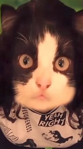 4.9K views · 66 reactions | One of the most dangerous tourist traps in New York City | I'm So NYC 718 | Facebook