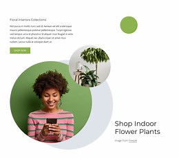 Indoor flower plants - Website Template by Nicepage