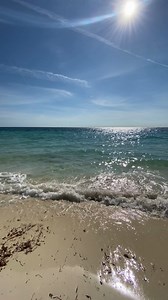 Relax at Grand Lucayan Beach, where sun-kissed shores meet crystal-clear waters. Unwind and bask in the beauty of #GrandBahamaIsland. Learn more on grandbahamavacations.com🐠 🐚 🌴 #VisitGBI #GrandLucayan #BeachLife #SaltLife #CaribbeanTravel | Visit Grand Bahama Island