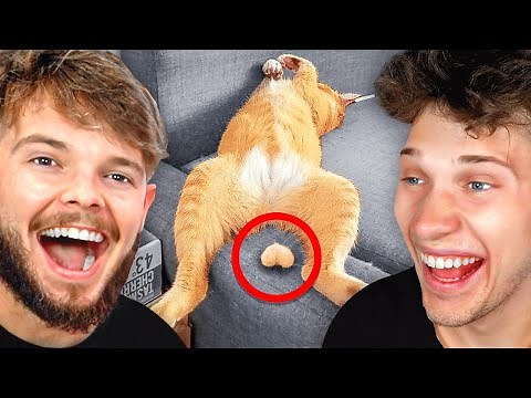 Try Not To Laugh Challenge (EXTREME)