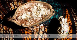 Fruit of the month: Baobab | My Gambia