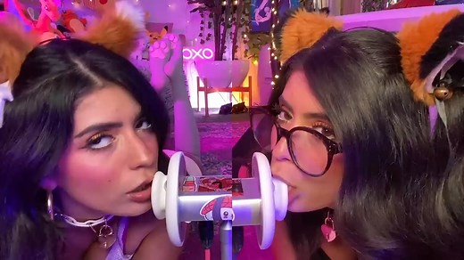 CorneliustheCat ASMR - ASMR Twins Cats FAST Noms ARA ARA And Meow In Your Ears!