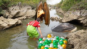 This is the best season to collect pearls, clams are fat, big, and there are many beautiful pearls | Xiaohuiya
