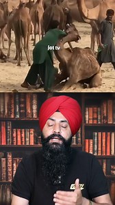 Why Saudis Love Meat: Exploring the Kingdom's Meat-Centric Cuisine #SaudiFood #MeatLover #facts | Jot Tv Media