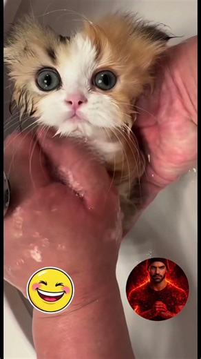 Singing in the shower 😂 #funny #viralvideo #subscribe #love