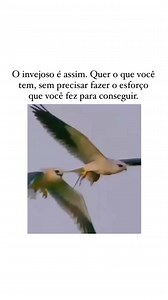 32K views · 128 reactions | Math Motivation on Reels | Facebook