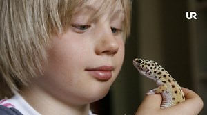 Mitt husdjur och jag: Ödla | UR Play