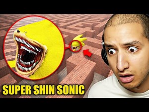 Stuck in a MAZE With SUPER SHIN SONIC....