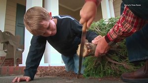 From planting to trimming, witness the dedication it takes to grow the perfect Christmas tree. Unwrap the secrets of your holiday centerpiece. | Farm Monitor
