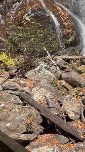 Anna Ruby Falls es una atracción natural cercana al turístico pueblo de Helen (Georgia), en el corazón del Bosque Nacional Chattahoochee-Oconee. | SC Greenville Digital | Facebook
