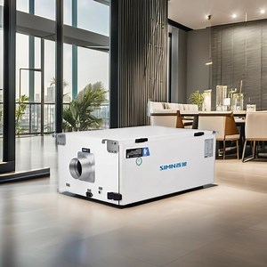 [Hot Item] Home Commercial Indoor Swimming Pool Ceiling Duct Dehumidifier for Wholesale