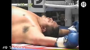 Top 10 Knockouts of Remy Bonjasky | We are kickboxers