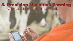 Precision livestock farming - Alchetron, the free social encyclopedia
