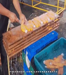 Amazing Mullet Roe Harvesting and Mullet Fish Recipes | SABAI