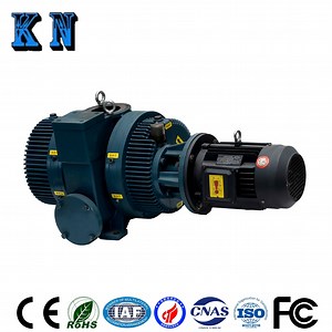 [Hot Item] Roots Vacuum Pump with Quick Start, Less Power Consumption, Low Maintenance Costs