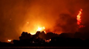 Wildfires rage across Turkey as a heatwave hits southern Europe, and why reforestation might not be a way for countries to reach net zero.