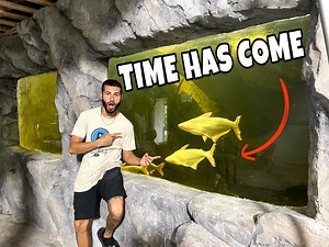 22K views · 1K reactions | RELEASING ALBINO SHARKS In BIGGEST FISHTANK! | Blake's Exotic Animal Ranch | Facebook