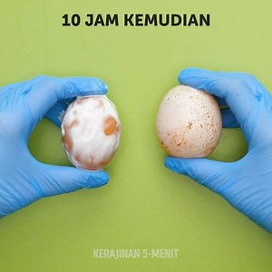 26 tutorial membuat slime untuk hari yang membosankan Cara membuat slime dan video menyenangkan lainnya yang harus kamu coba Slime adalah salah satu benda menyenangkan yang bisa kamu buat. Kamu bisa mewarnainya dan memainkannya sepanjang waktu. Kamu bisa berkreasi saat bosan. Aku akan tunjukkan cara membuat slime sendiri dan trik keren seputar slime lainnya yang pasti kamu suka. Kamu bisa tambahkan kuteks warna metalik pada slime agar terlihat indah. Atau kamu bisa bereksperimen dengan bentuk sl