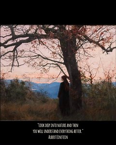 42K views · 2.7K reactions | "Look deep into nature and then you will understand everything better." Albert Einstein Andrii Kateryniuk - (Ukrainian, born 1994) Evening Glow, 2024. | Ravenous Butterflies | Facebook