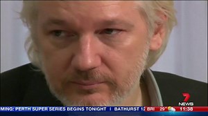 3.3K views · 29 reactions | A United Nations panel believes WikiLeaks...